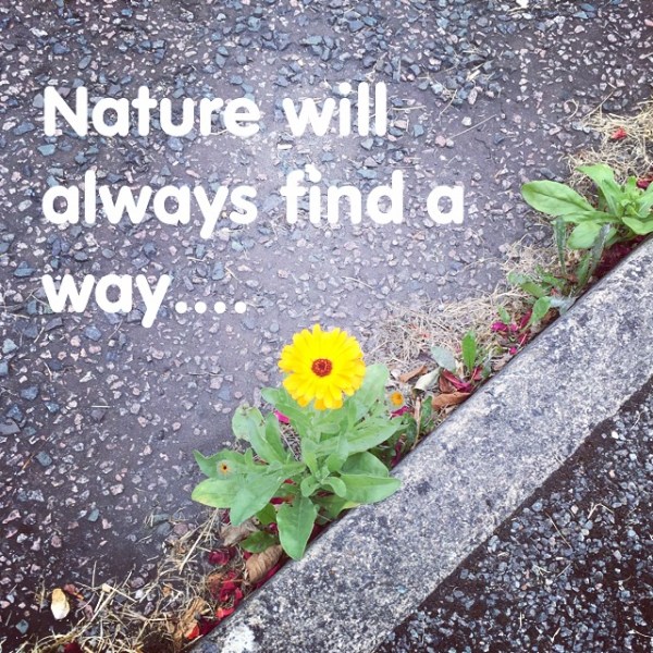 B468030F-E884-4A03-ADCB-C27DD2BA67A3