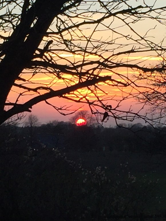 13F847B7-F282-4BC9-921C-2395AABE0ED7