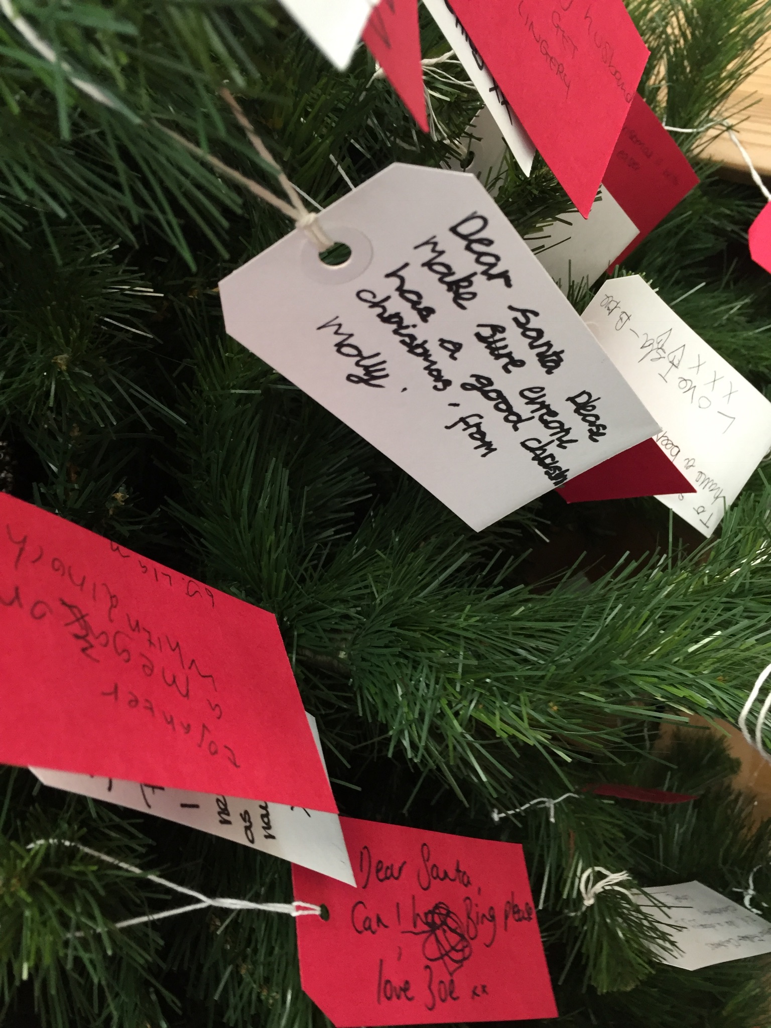 B5572F48-4EF0-4B6A-A856-1D748208F391