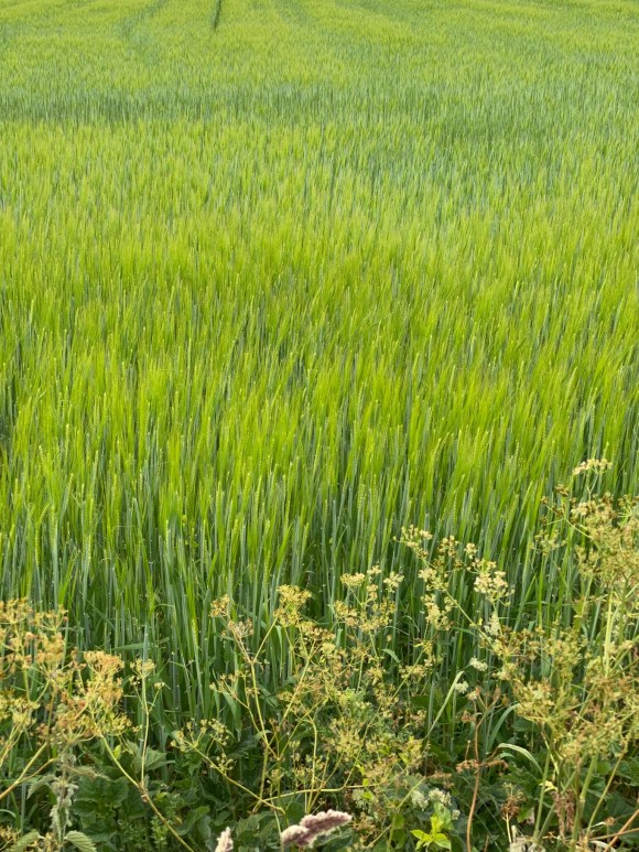 7B501827-1353-4E0D-9DF9-9F1E4B044DA0