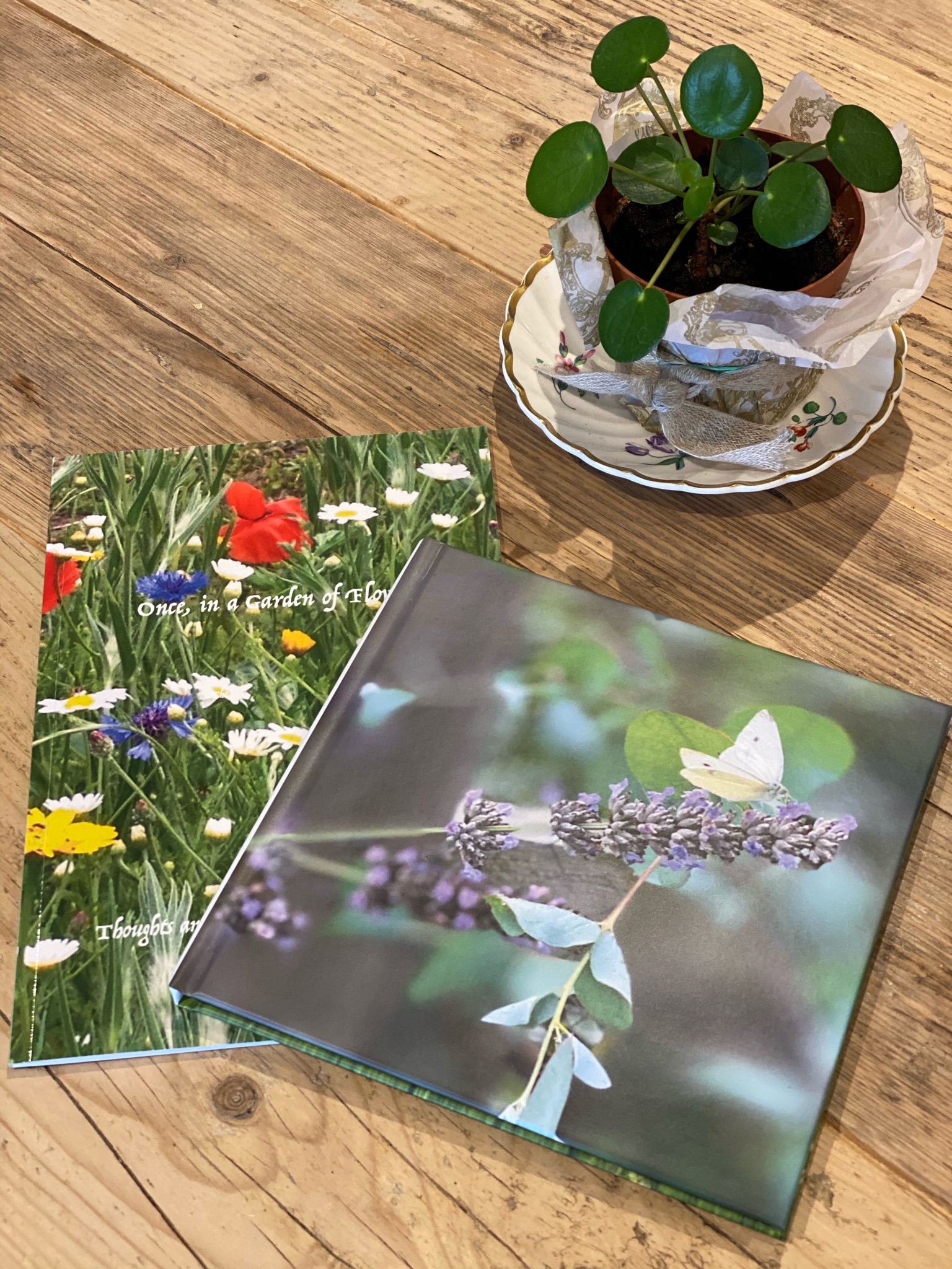 CDB8840B-113E-4E98-A5CA-776968C7BF48